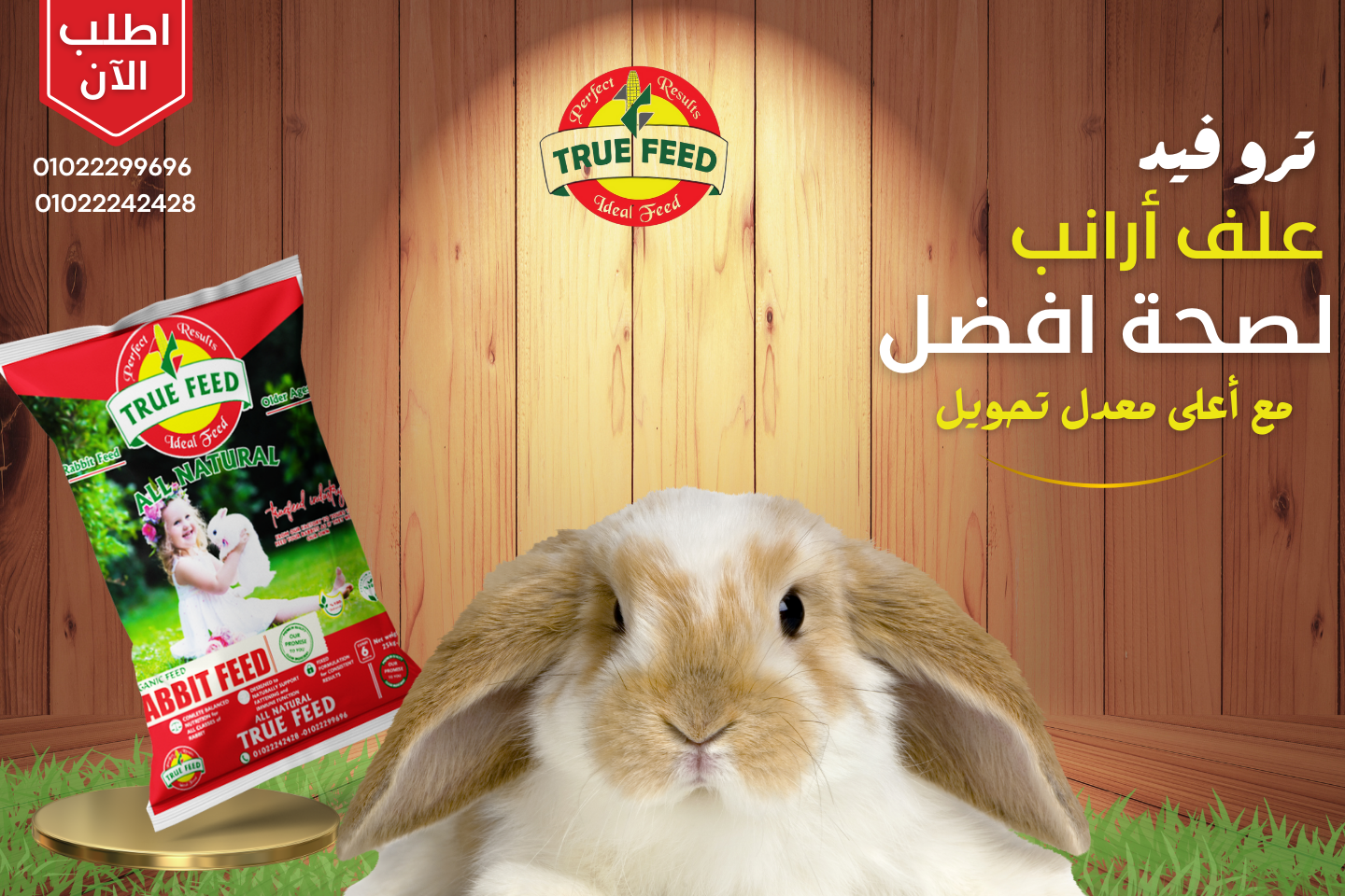 تعليم النطق العربى الصحيح